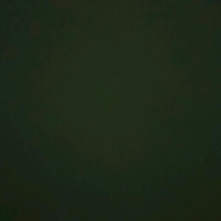 才艺