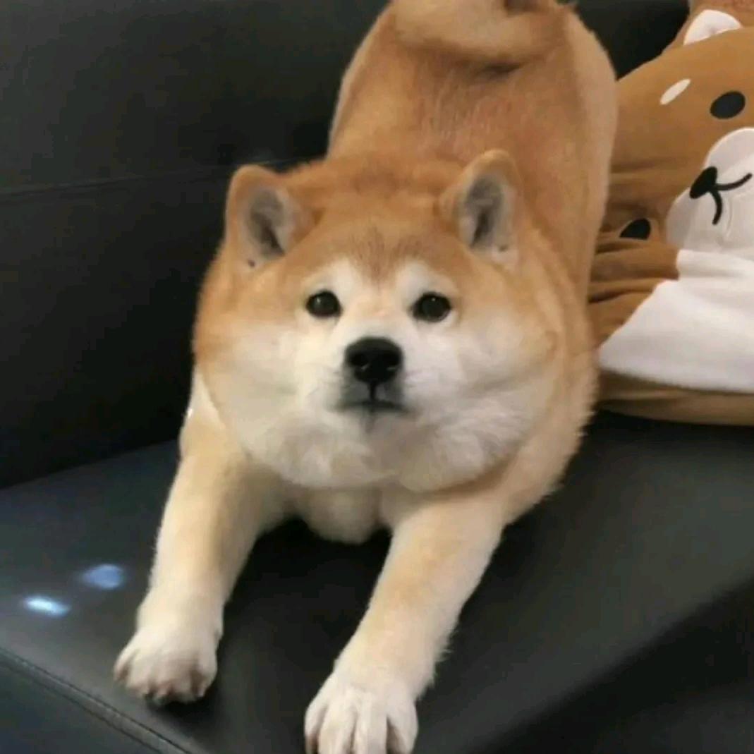 我嘞个豆