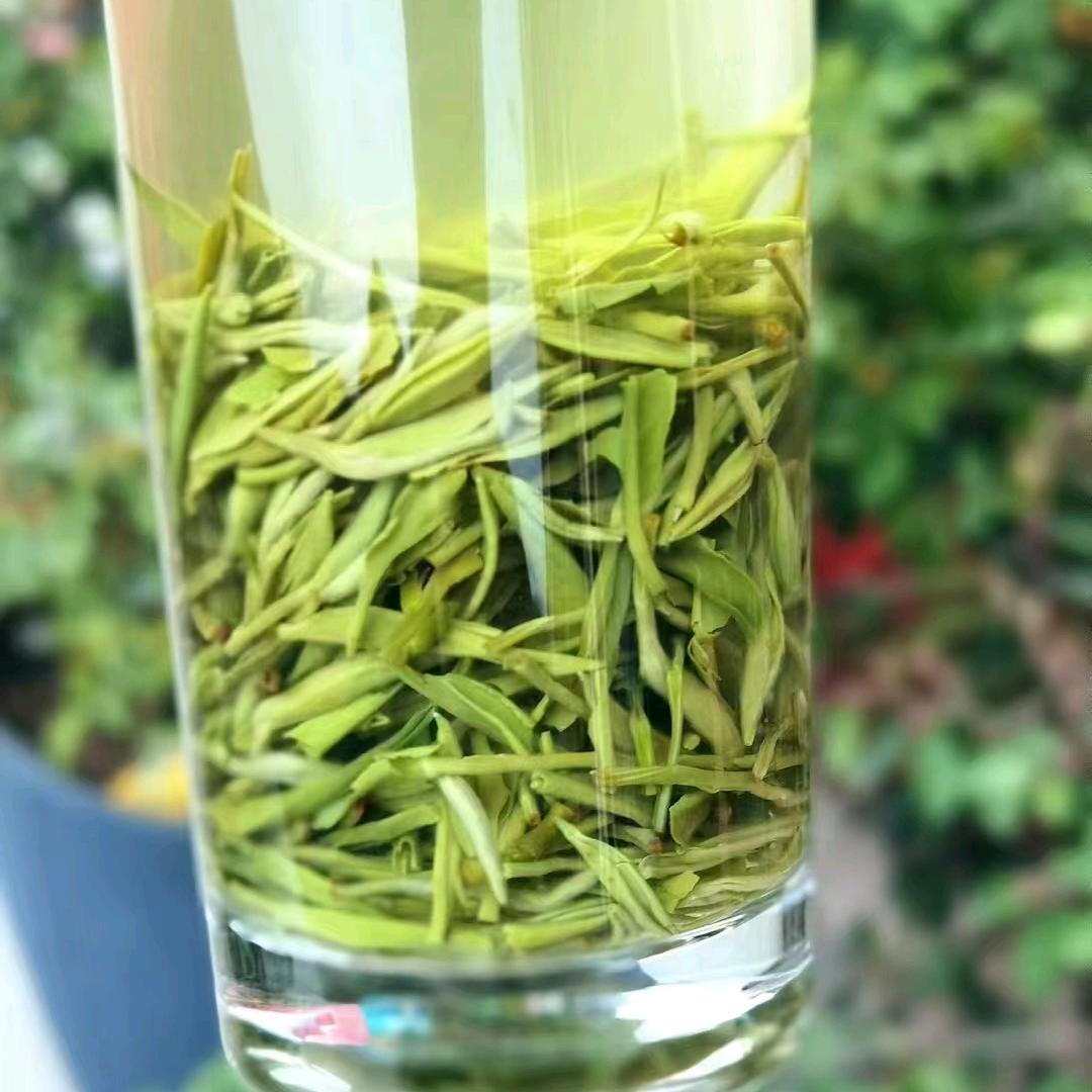 茗芯