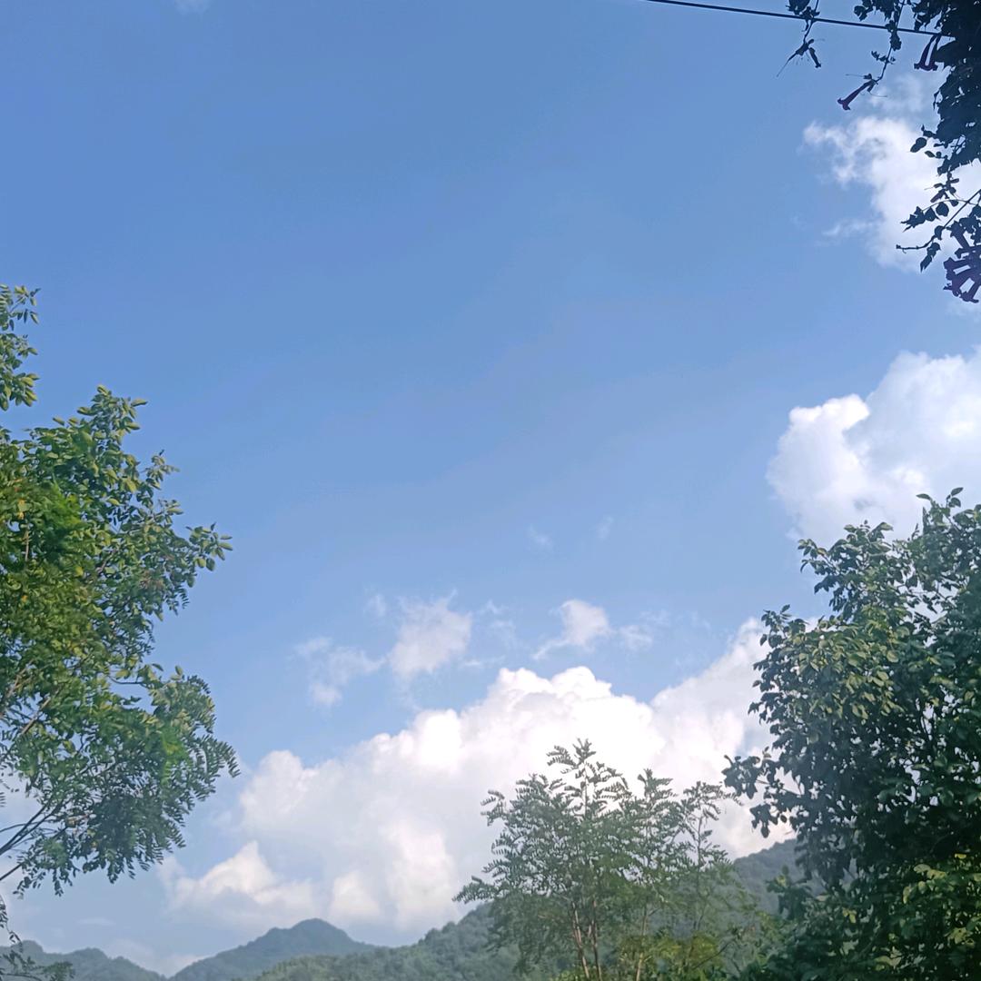 峰孞