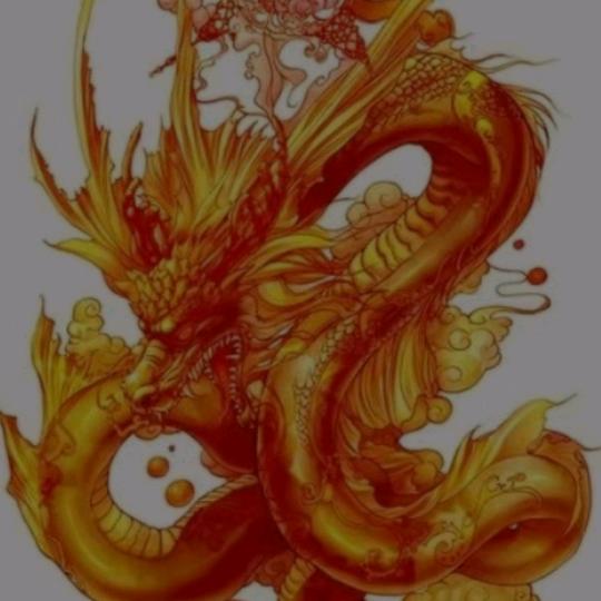 悟善，璘璘服饰