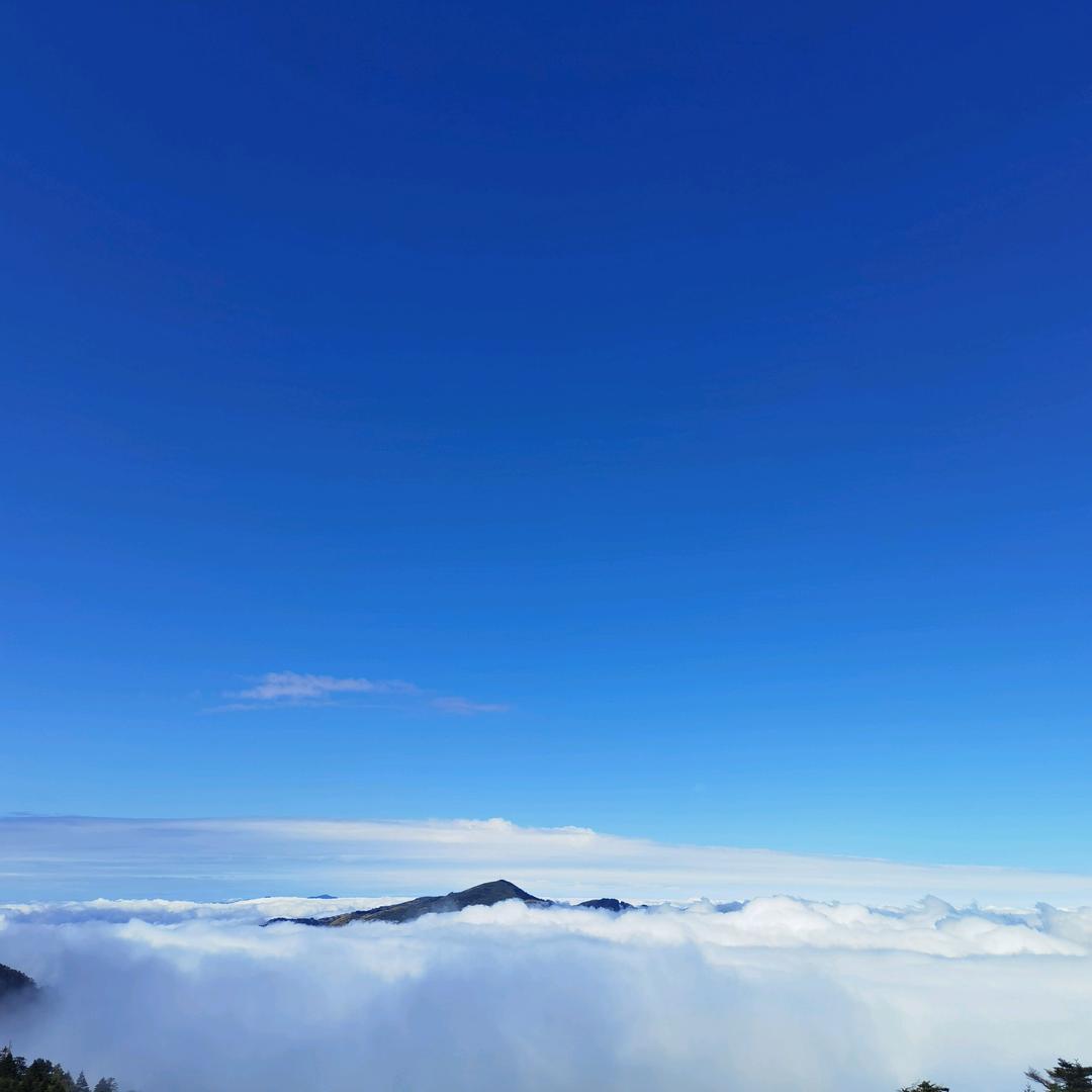 饮风酌酒
