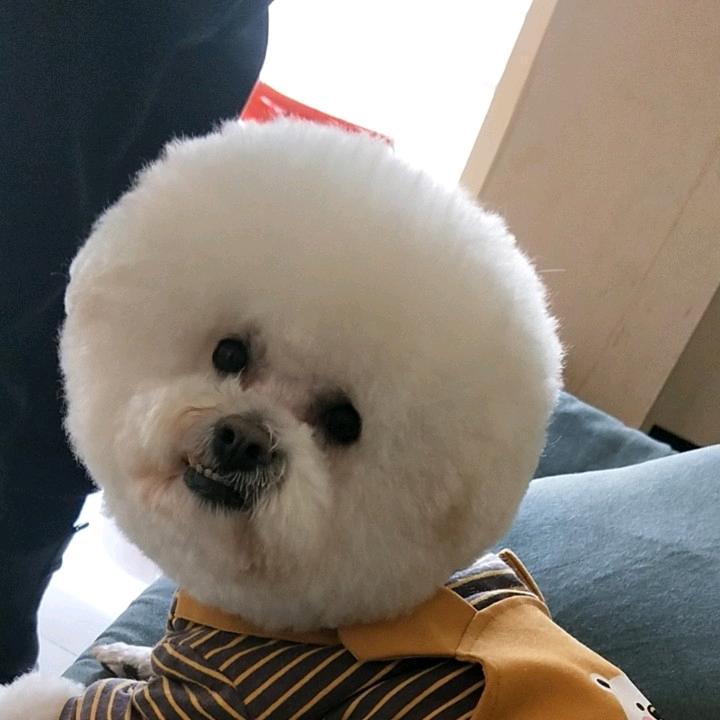 🥰一夕承诺🥰