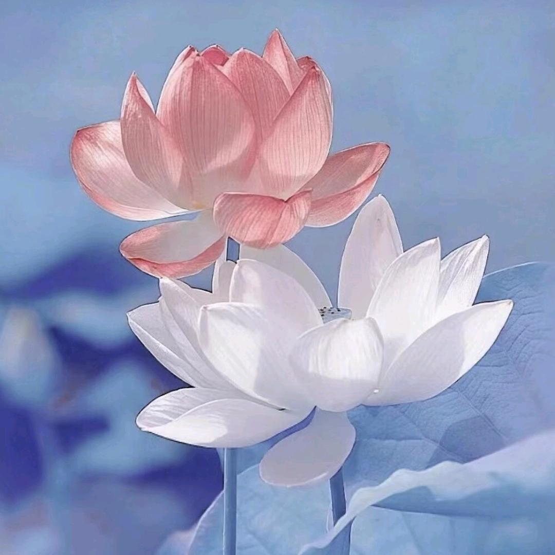 谁非谁