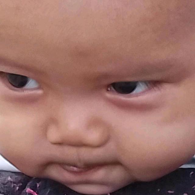 孤独的老司机