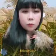 小石，
