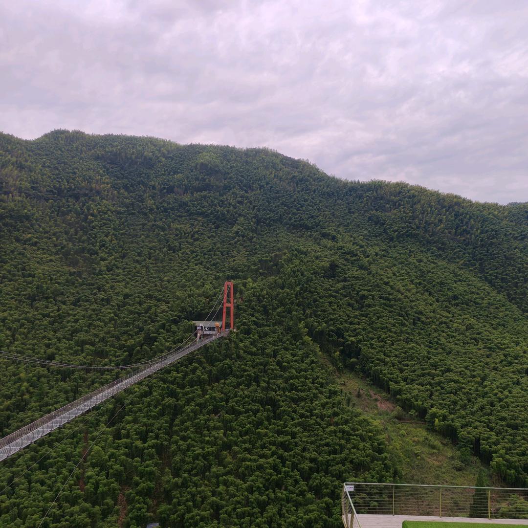沈岳贵