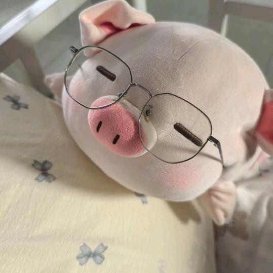 小甜豆的哈哈哈哈哈