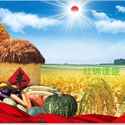 郁郁葱葱🌾🌾🌾