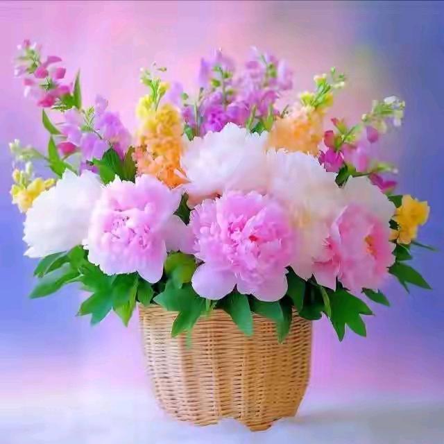 🇨🇳伴随风景🇨🇳