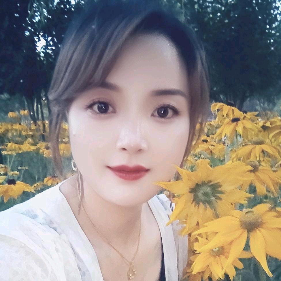 清风一梦