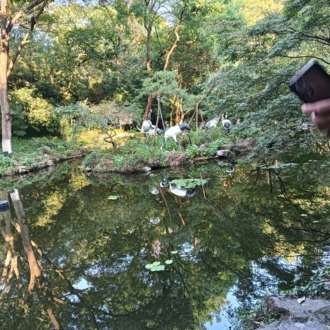 郭姐