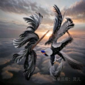 专业抹灰☞小张☜