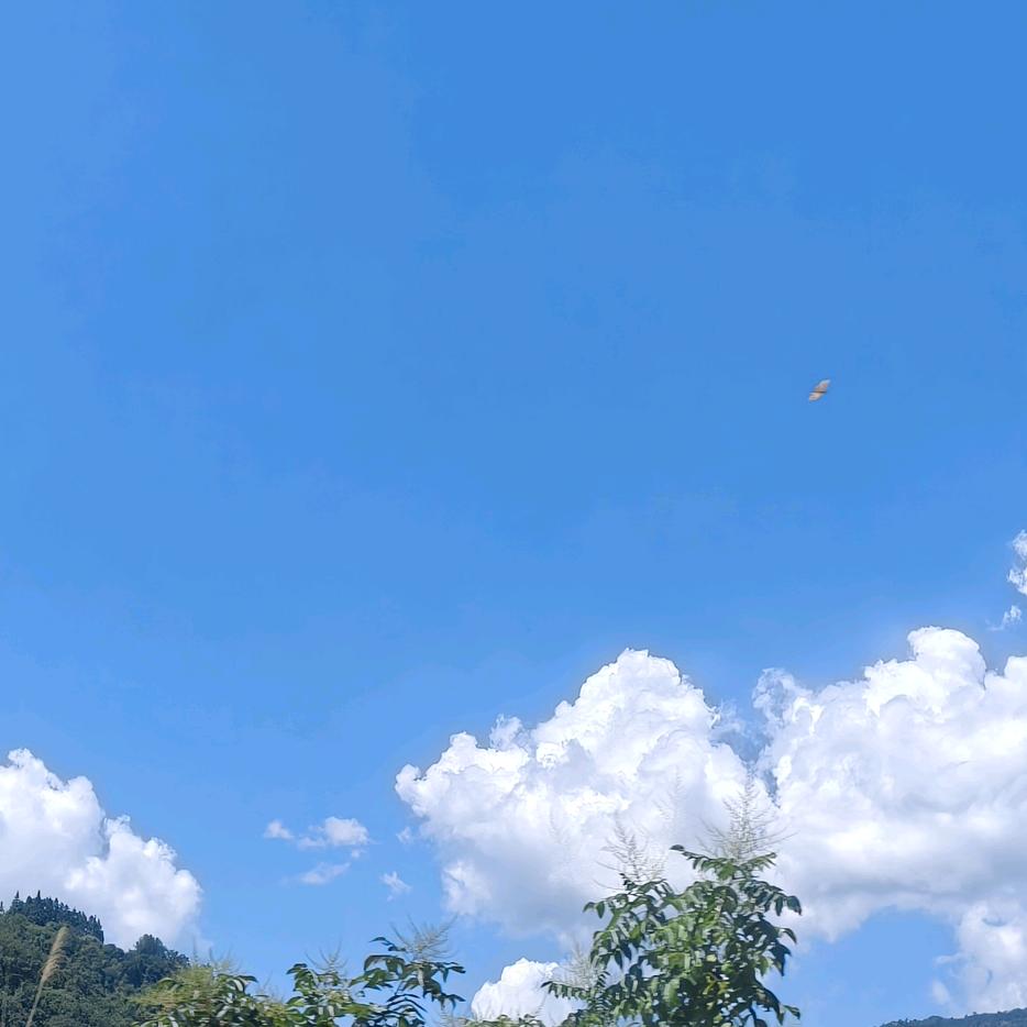 ✌︎˶╹ꇴ╹˶✌︎