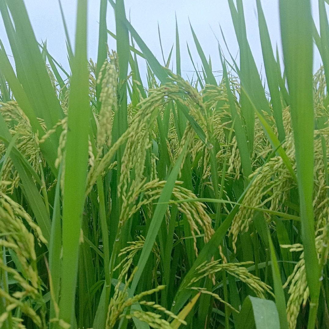 你…我…相…遇…❤️