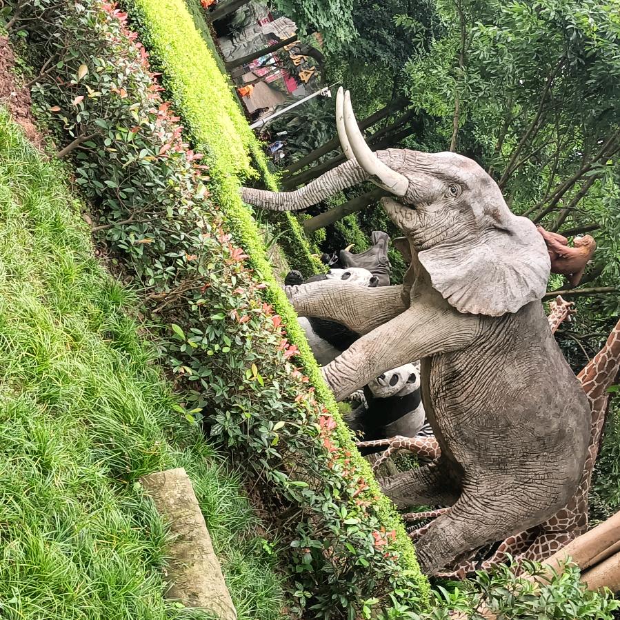 陈哥哥