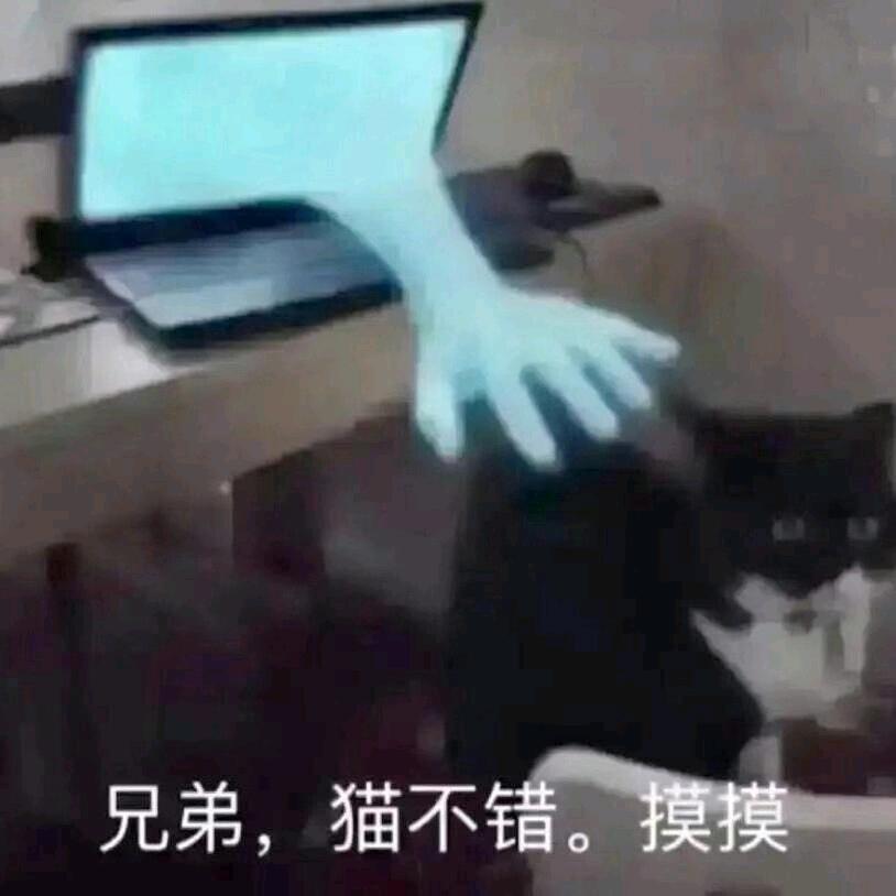 清朝僵尸