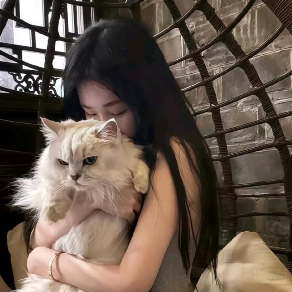 少来烦我