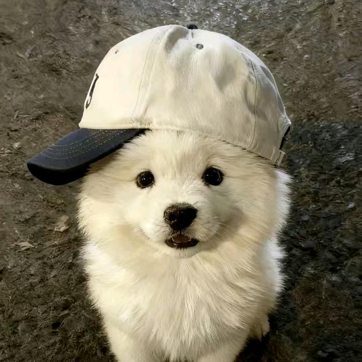 怎么每周都有周一