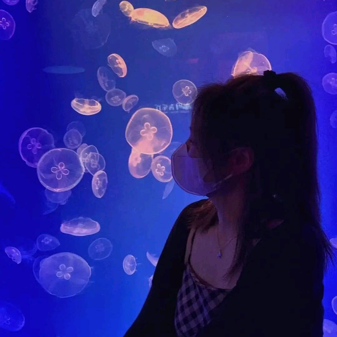 🌸心雨中的海洋🌸