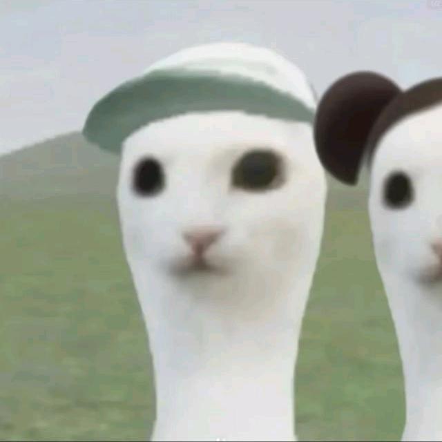 孤
