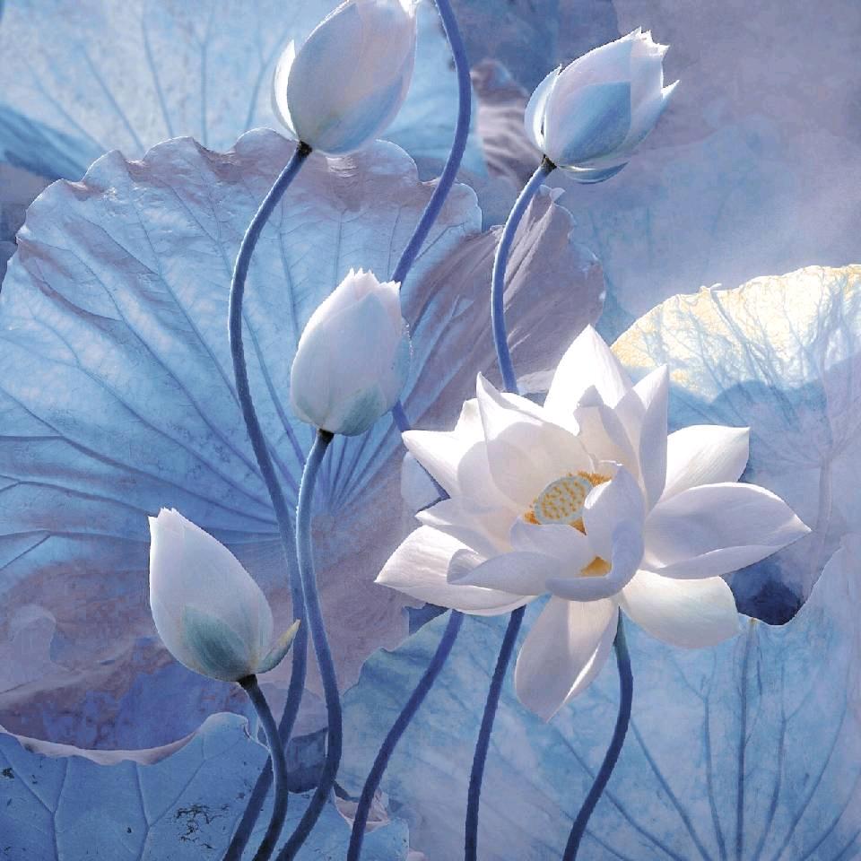 社旗豪圆海尔家电～小杰