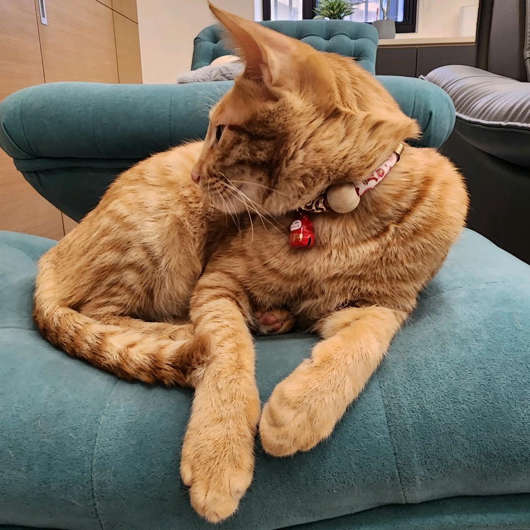 花两块钱买的号