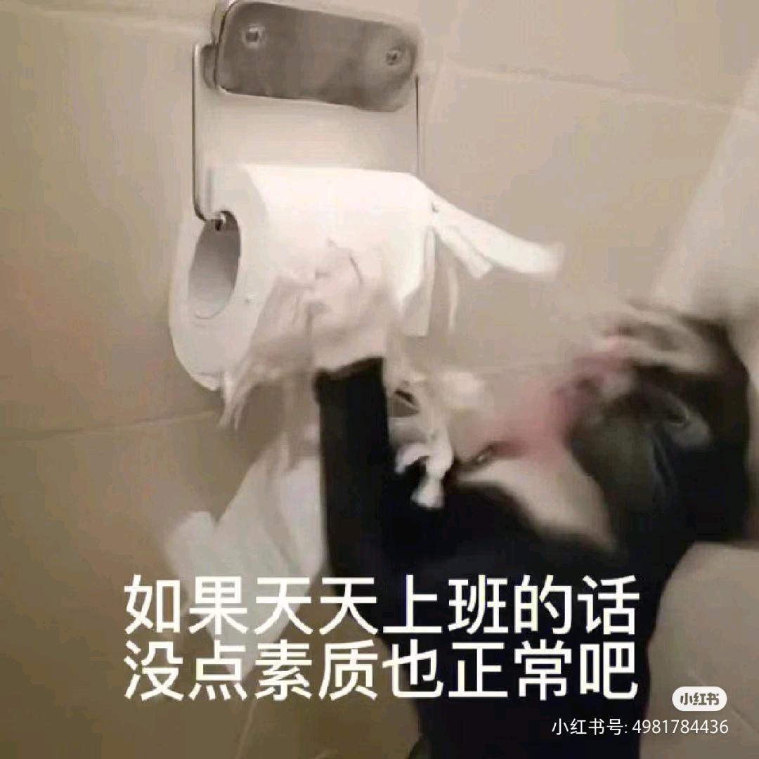 谁把我拼好饭偷了