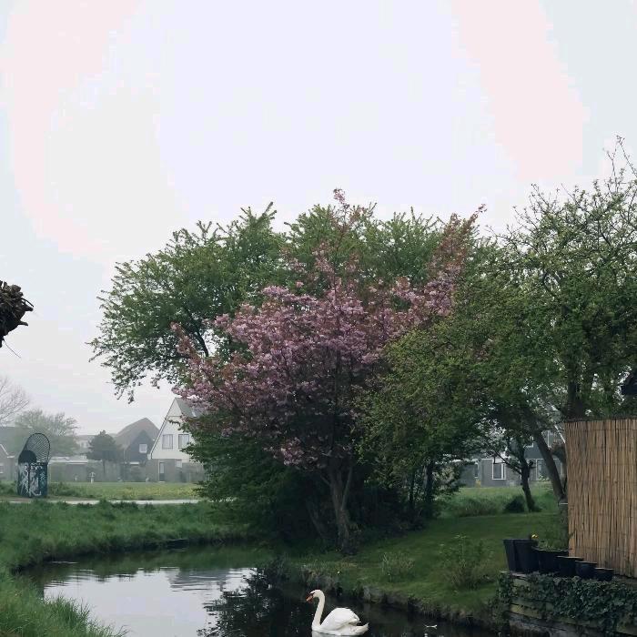 围围