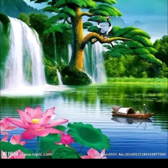 年年有鱼岁岁安