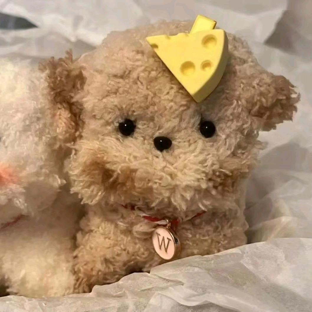 重生之我是宇宙无敌偷心大盗贼