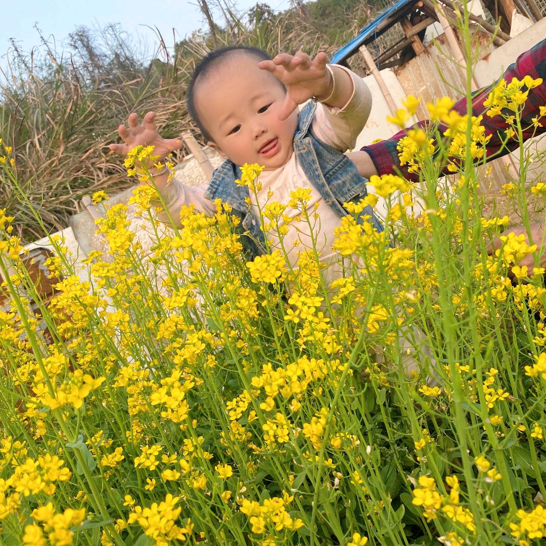 若如初见