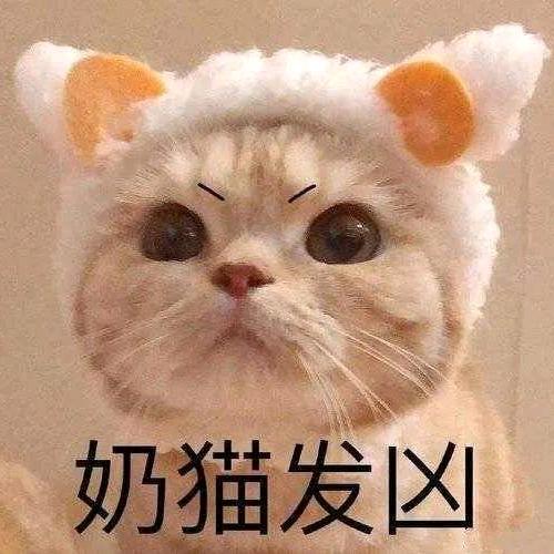 苦逼社畜头像