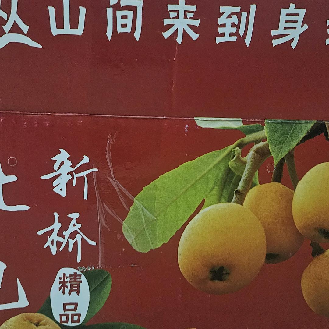 凡事不举问春风