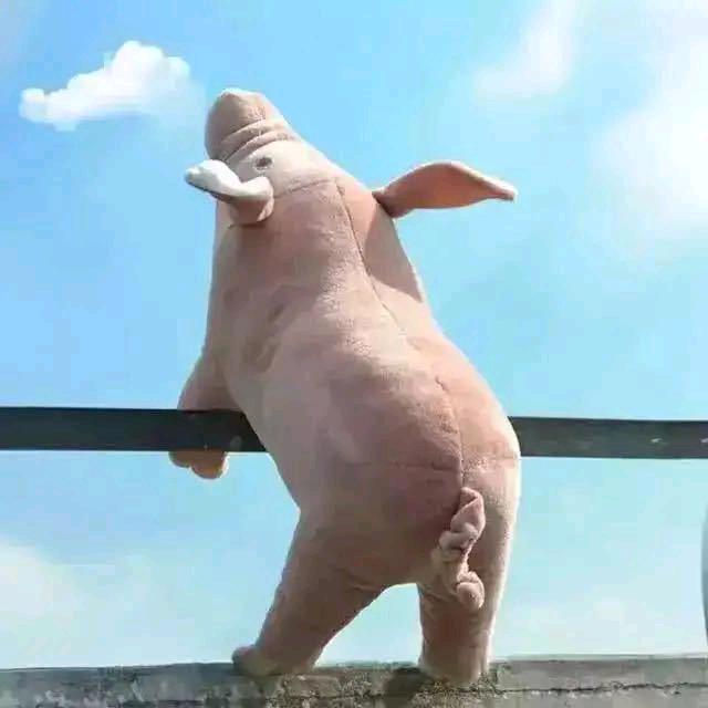 厦
