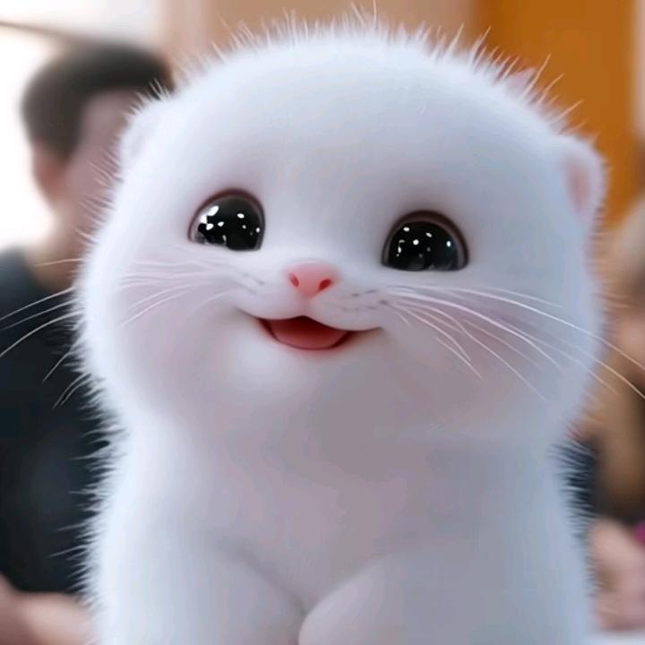用户173258168