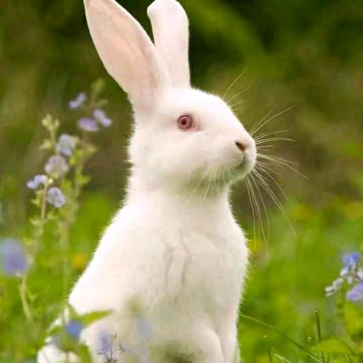 坡头帅气小哥哥