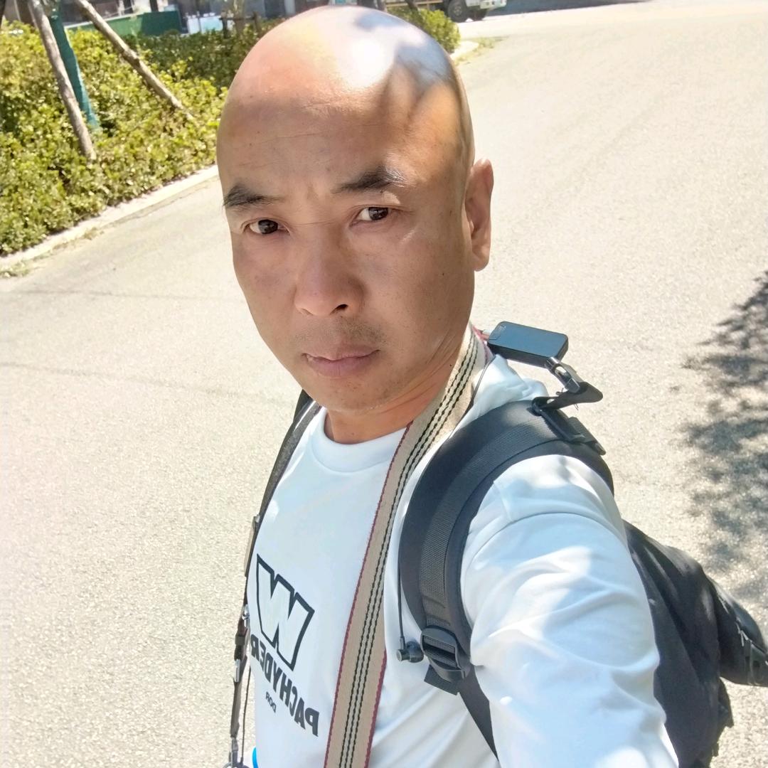 爱恨随意