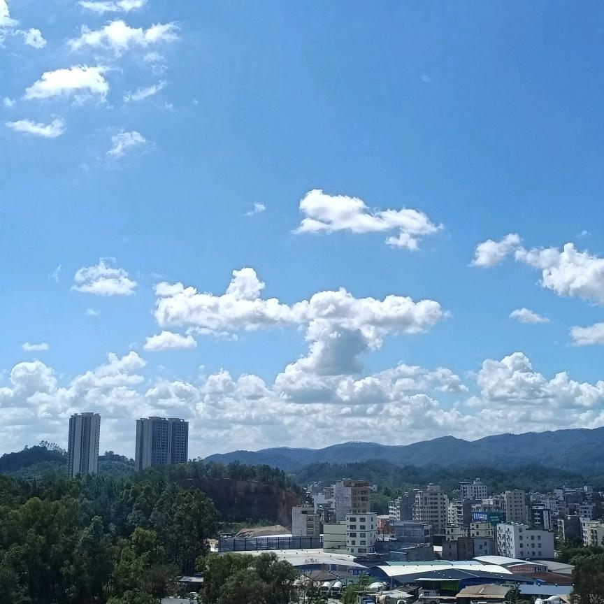晓星尘