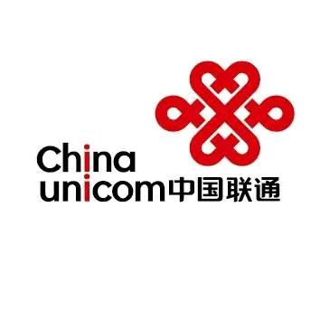豹