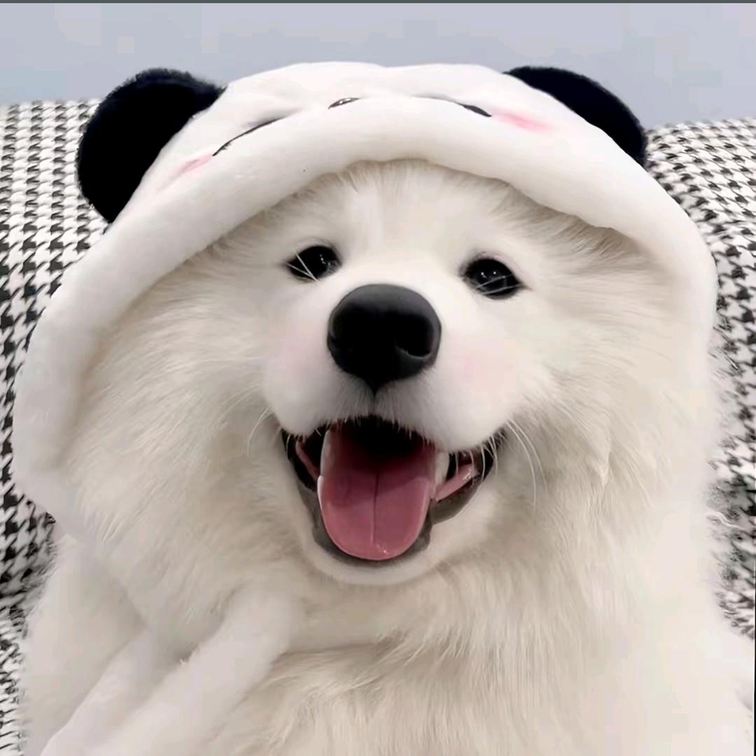 要早睡
