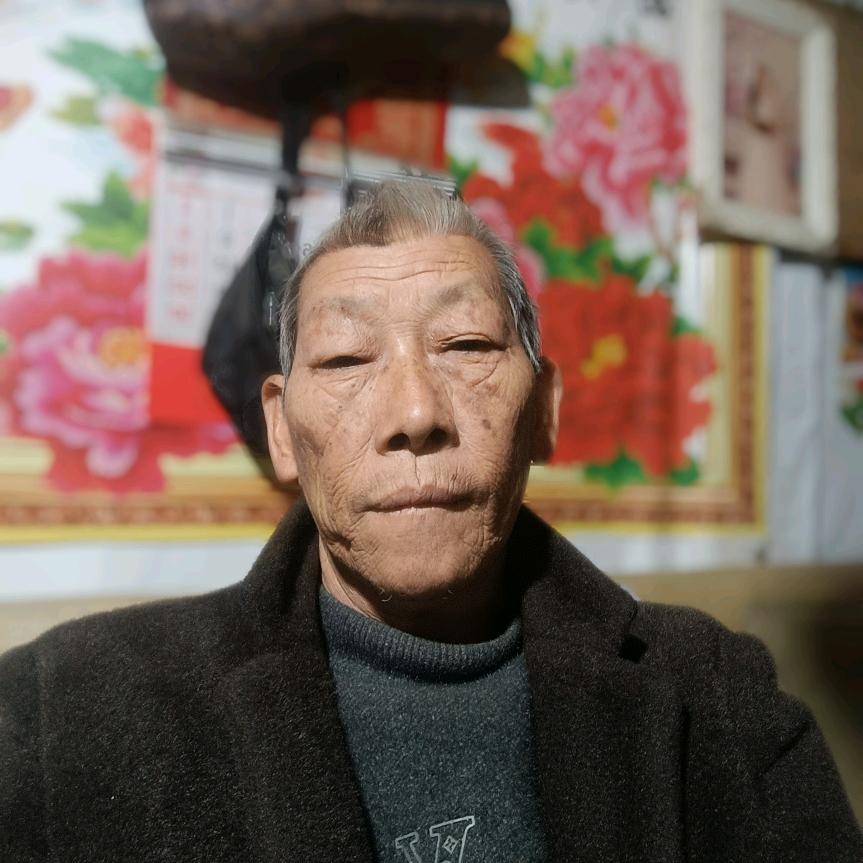 美丽的荷花
