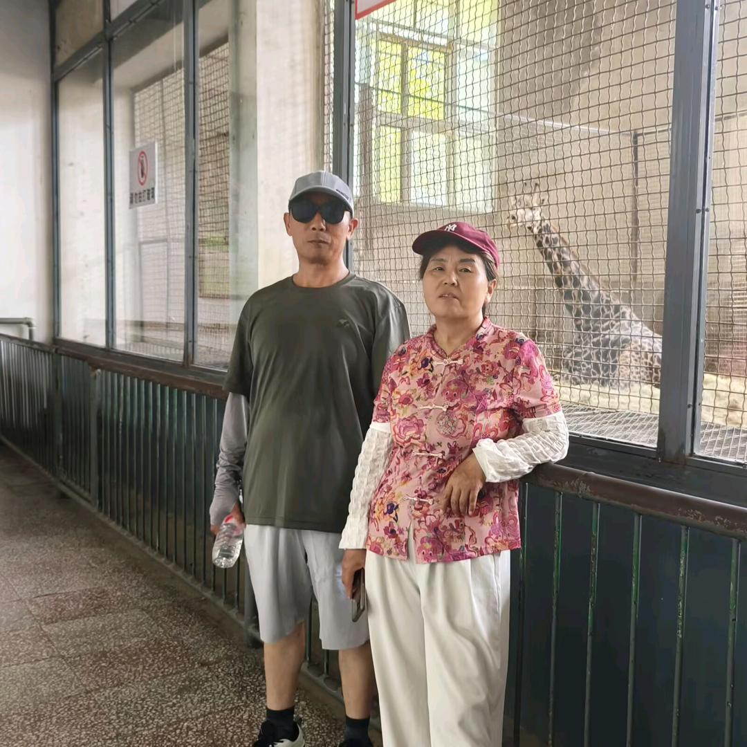 老刘的退休备忘录