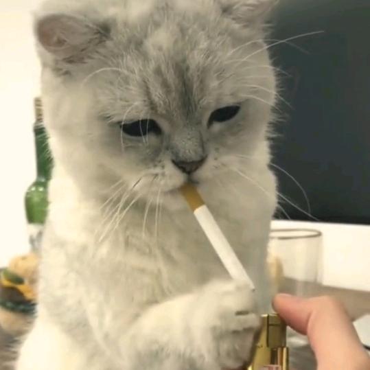 你看❤️