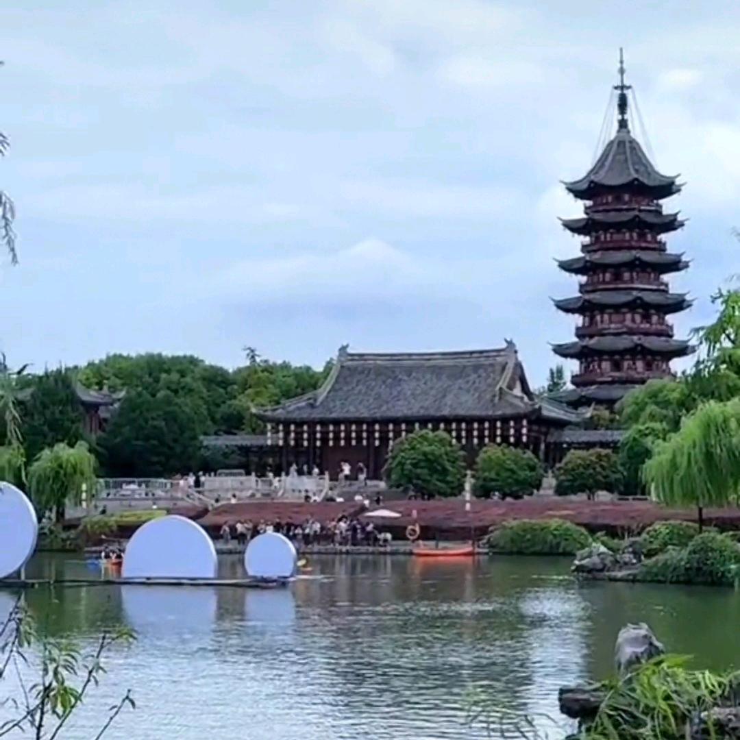 【琴】  首播