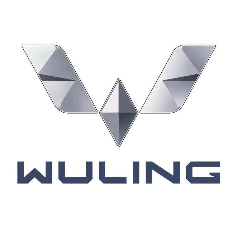 唐河五菱汽车党寒