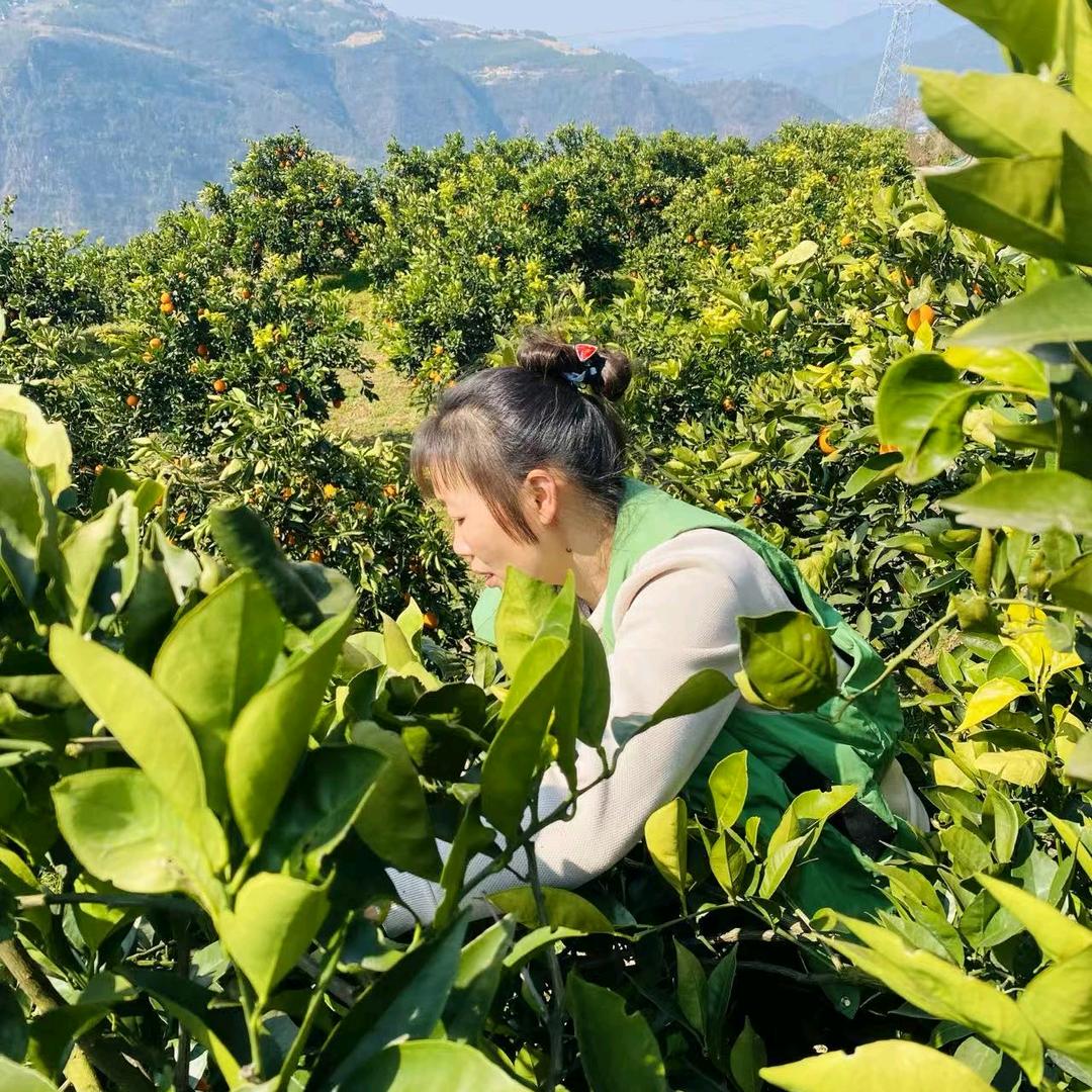蹇德美