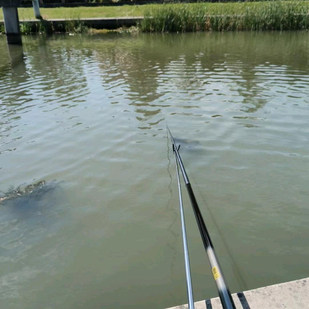 小陈爱钓鱼🎣🎣🎣