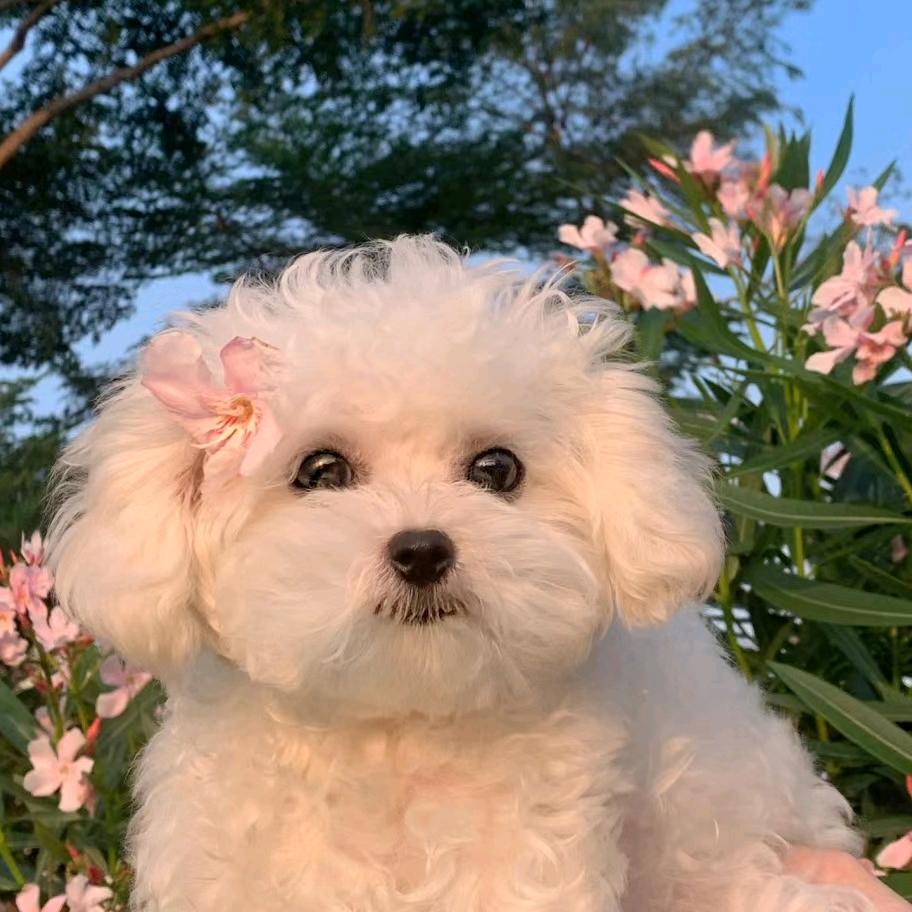 曼曼剪娱兒