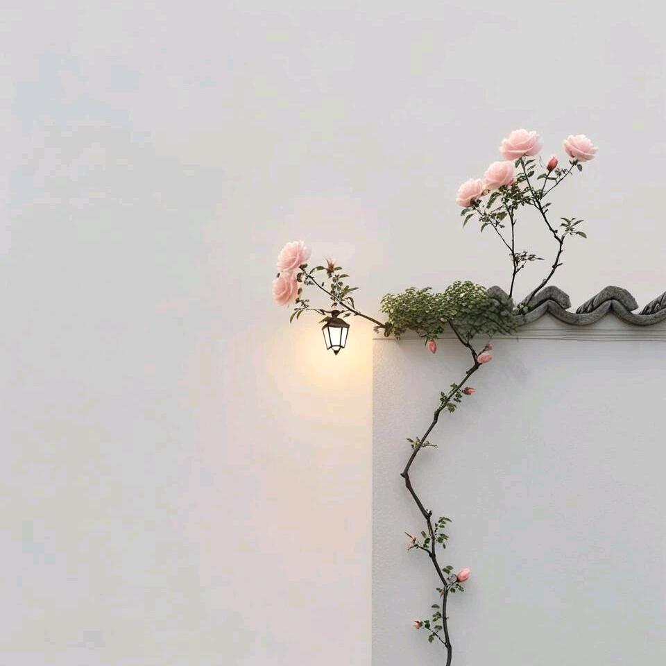 团子